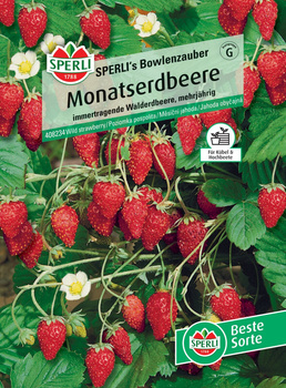 Poziomka pospolita 'SPERLI's Bowlenzauber' Nasiona PREMIUM Sperli