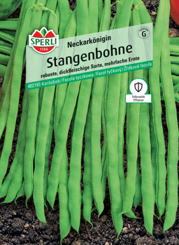 Fasola tyczkowa 'Neckarkönigin' Nasiona PREMIUM Sperli