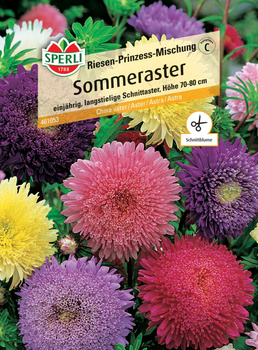 Aster 'Riesen-Prinzess-Mischung' Nasiona PREMIUM Sperli