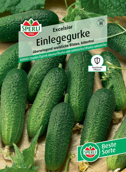 Ogórek siewny 'Excelsior' F1 Nasiona PREMIUM Sperli