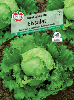 Sałata lodowa 'Great Lakes 118' Nasiona PREMIUM Sperli