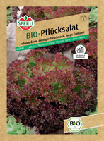 Lollo rossa BIO