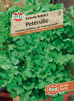 Pietruszka 'Einfache Schnitt 3' Nasiona PREMIUM Sperli