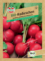 Rzodkiewka 'Raxe' Nasiona PREMIUM Sperli