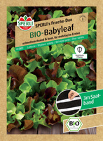 Wybierz sałatę 'SPERLI's Frische-Duo (Celinet, Diablotin)' Nasiona PREMIUM Sperli