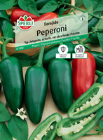 Papryka blokowa 'Forajido' Nasiona PREMIUM Sperli