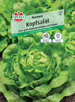 Sałata 'Florence' Nasiona PREMIUM Sperli