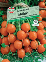 Marchew 'Pariser Markt 5' Nasiona PREMIUM Sperli