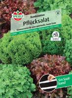 Sałata 'Kombination (Teide, Grand Rapids, Lollo Bionda)' Nasiona PREMIUM Sperli