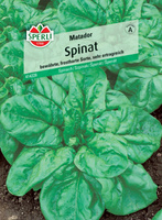 Szpinak 'Matador' Nasiona PREMIUM Sperli