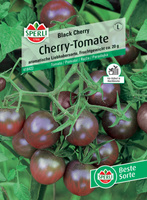 Pomidor 'Black Cherry' Nasiona PREMIUM Sperli