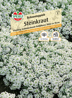 Smagliczka 'Schneeteppich' Nasiona PREMIUM Sperli