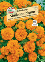 Aksamitka 'Petite Orange' Nasiona PREMIUM Sperli