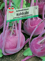 Kalarepa 'Delikateß blauer' Nasiona PREMIUM Sperli