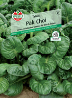 Kapusta chińska 'Tatsoi' Nasiona PREMIUM Sperli