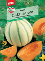 Melon 'Anasta' F1 Nasiona PREMIUM Sperli
