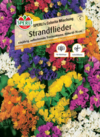 Zatrwian 'SPERLI's Colorita Mischung' Nasiona PREMIUM Sperli