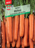 Marchew 'Berkos' F1 Nasiona PREMIUM Sperli